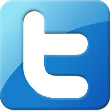 twitter-logo-png-transparent-background-twitter-transparent-logo-png -  Mapping Megan
